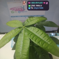 長得好好哦   大姐說我要發財了哈哈哈
