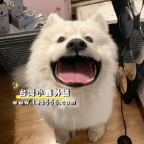 明天 #喵喵 會出來報班會有人想要約嗎